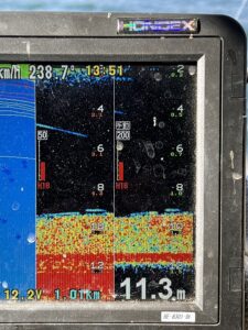 2026年1月31日 魚探映像